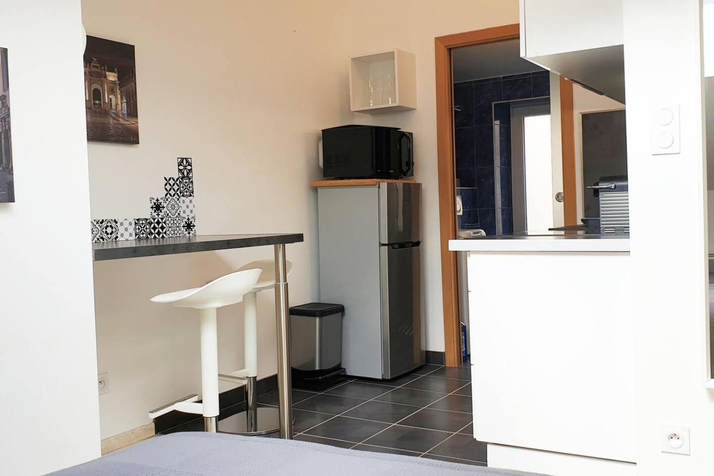 Joli Studio Calme Coeur De Ville Nancy Exteriör bild